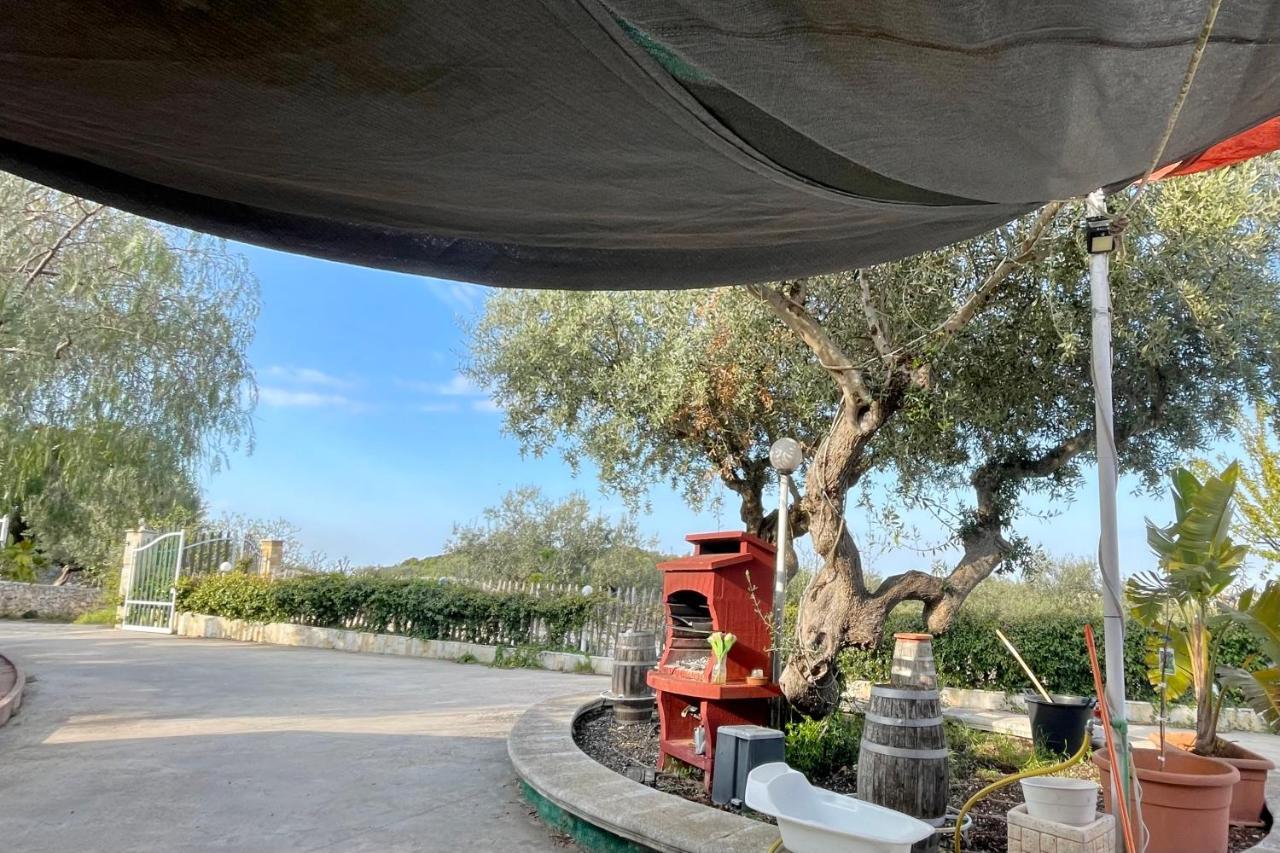 Music House A Castellana Grotte Confinante Via Per Turi 500M Dalle Grotte Exterior foto